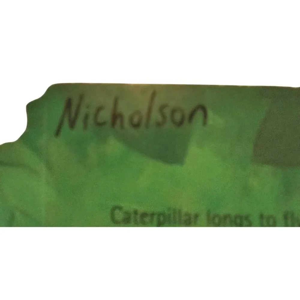 The Crunching Munching Caterpillar Board Book Sheridan Cain Jack Tickle - Picture 5 of 5